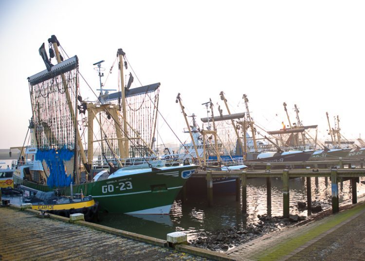 foto_63_750x0_c_default.jpg foto_63_750x0_c_default.jpg