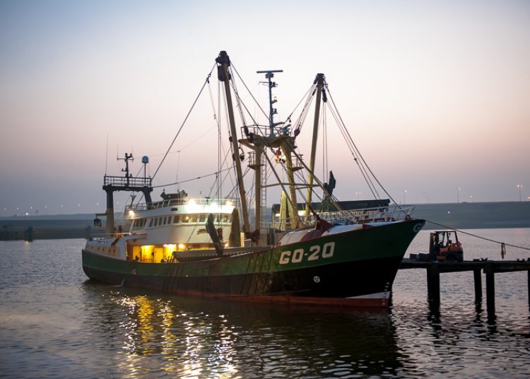 foto_22_750x0_c_default.jpg foto_22_750x0_c_default.jpg